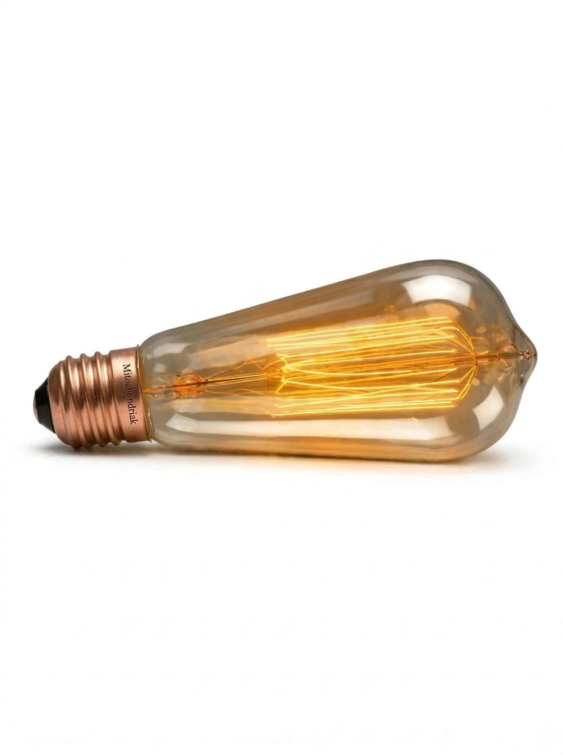 Mitochondriak® Warmlicht-Glühlampe E27 Vintage ST64 40 W - Produktabbildung