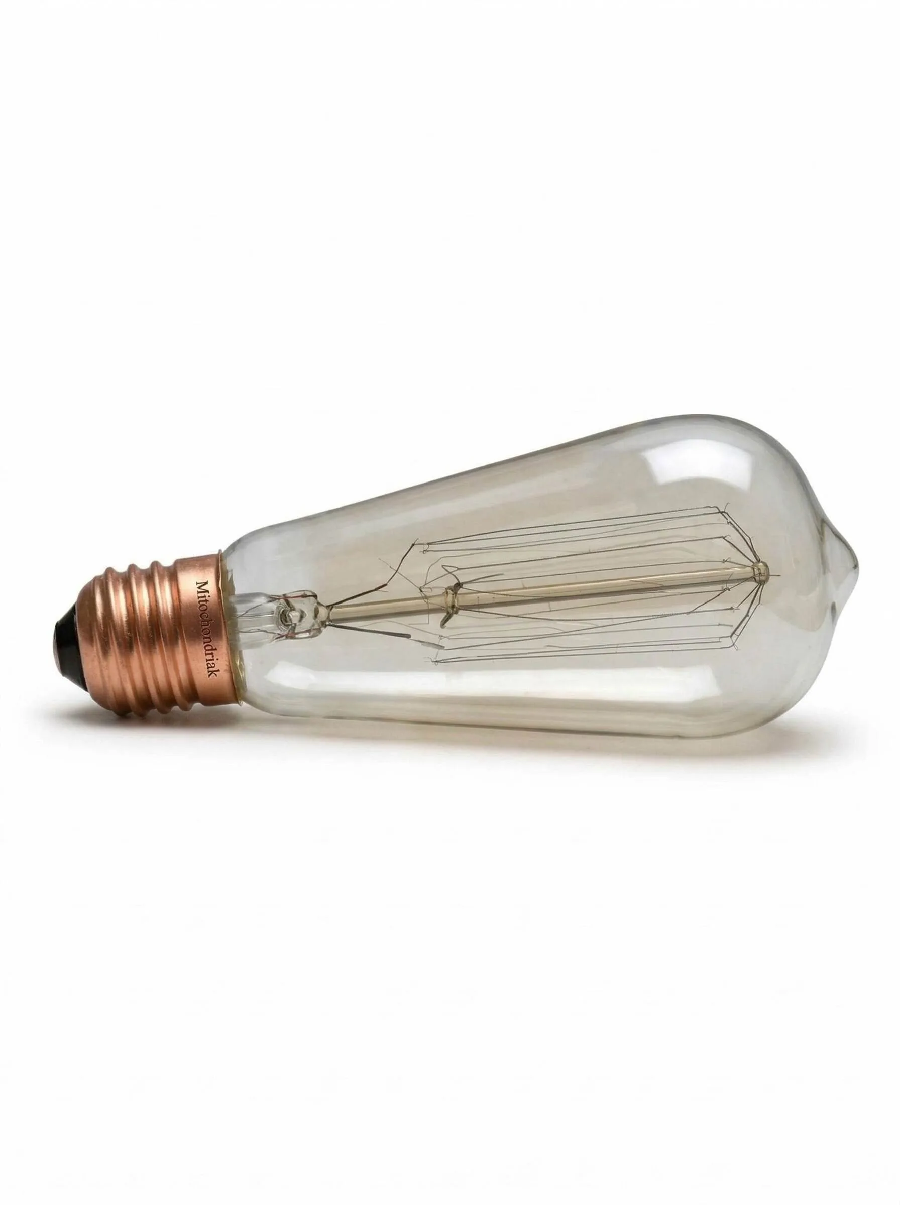 Mitochondriak® Warmlicht-Glühlampe E27 Vintage ST64 40 W - Produktabbildung