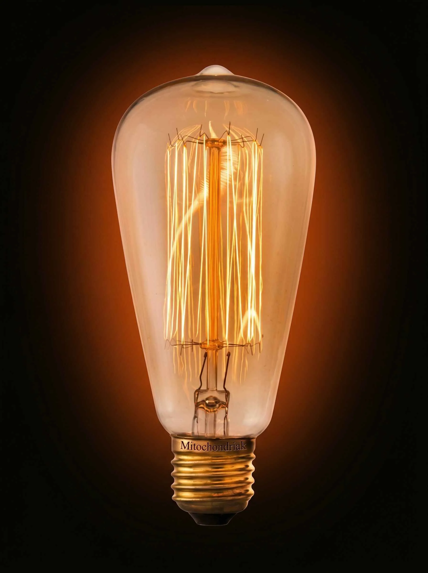 Mitochondriak® Warmlicht-Glühlampe E27 Vintage ST64 40 W - Produktabbildung