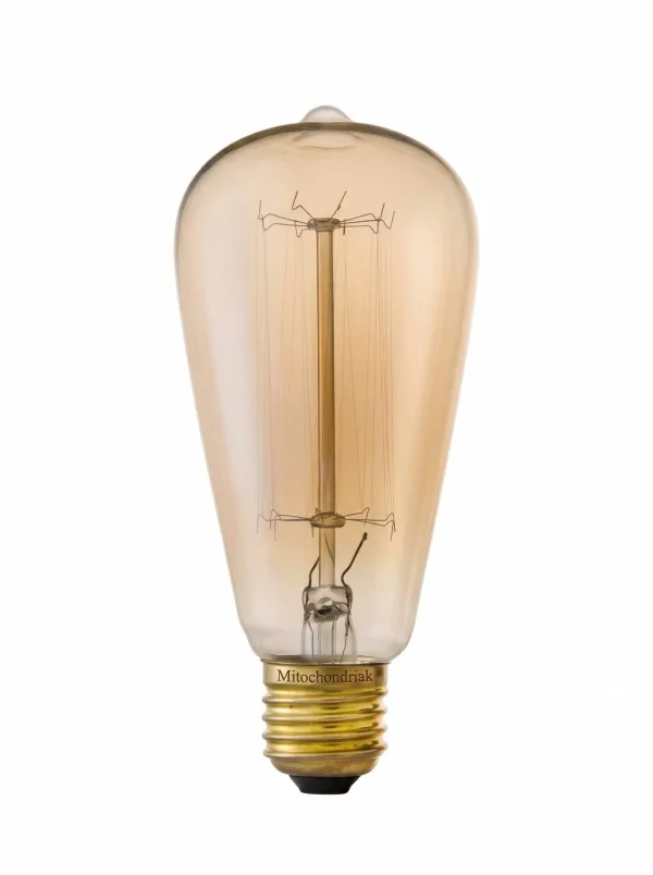 Glühlampe Mitochondriak® Warm Spectrum E27 – Vintage ST64 40 W – Produktbild 1