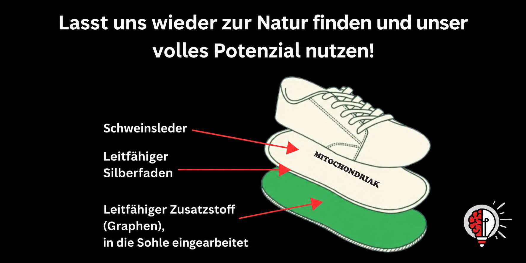 Schnittgrafik der Grounding-Barfußschuhe Mitochondriak®: Obermaterial aus Schweinsleder, leitfähiger Silberfaden und leitfähiger Zusatzstoff Graphen in der Sohle