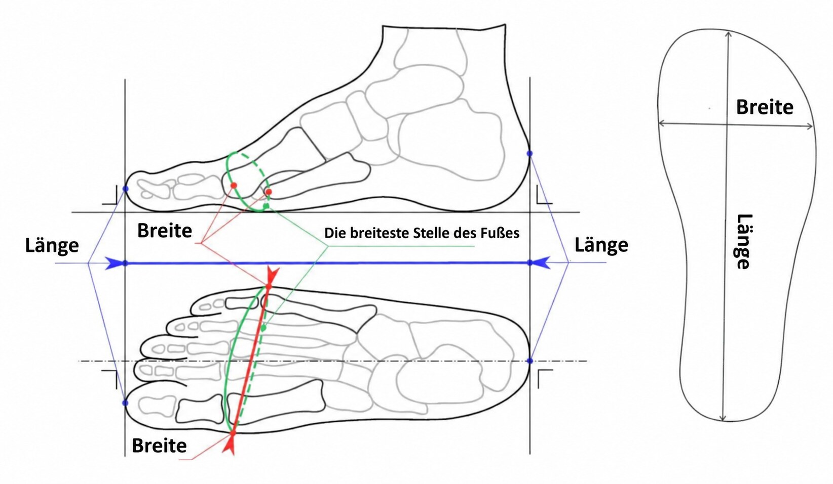 Anleitung zum Messen des Fußes für Barfußschuhe: Fußlänge und Fußbreite an der breitesten Stelle des Fußes, mit Fußabdruck-Skizze