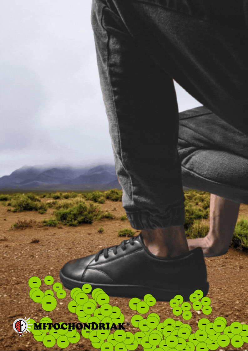 Mitochondriak® Grounding-Barfußschuhe - Produktabbildung