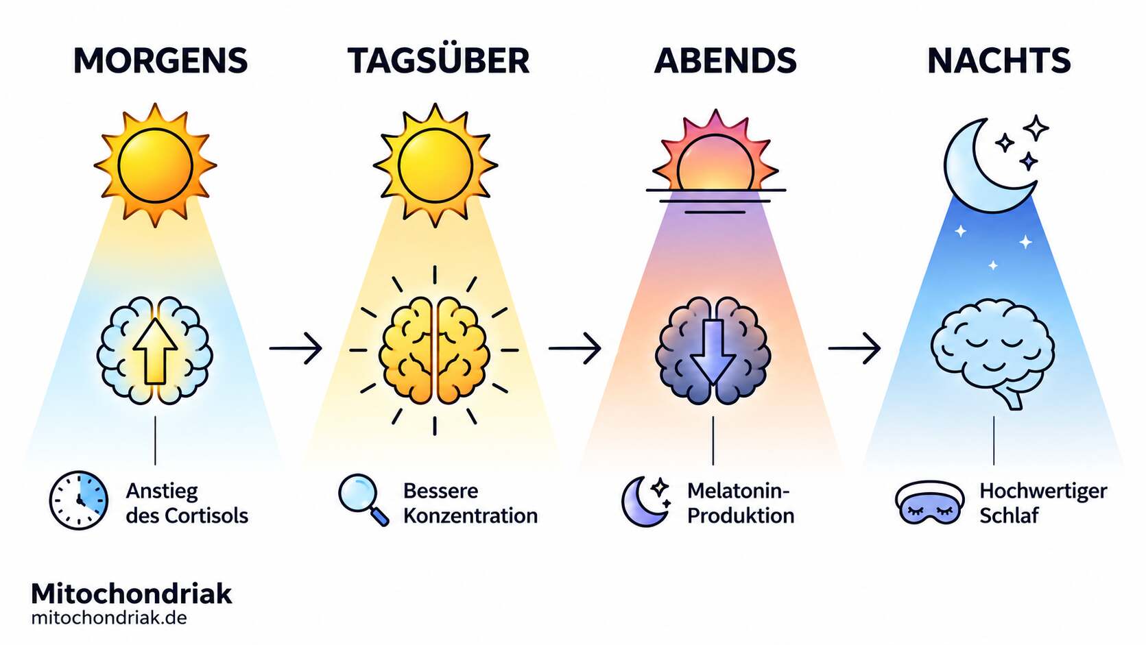 Zeitumstellung auf Winterzeit: So kommt Ihre innere Uhr schneller mit